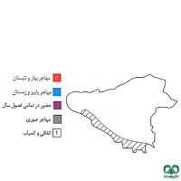 گونه عقاب دریایی دم سفید White tailed Eagle